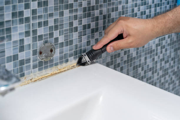 Best Post-Flood Mold Remediation in Prophetstown, IL